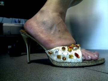 Public Photo of questionedisesso