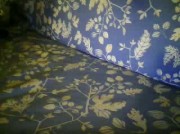 Amateur Video of __CagnaTettona