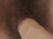 Figa pelosa gioca con dil