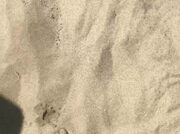 Amateur Video of Morgana_Feet